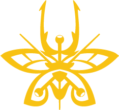 Chucky Insect Art