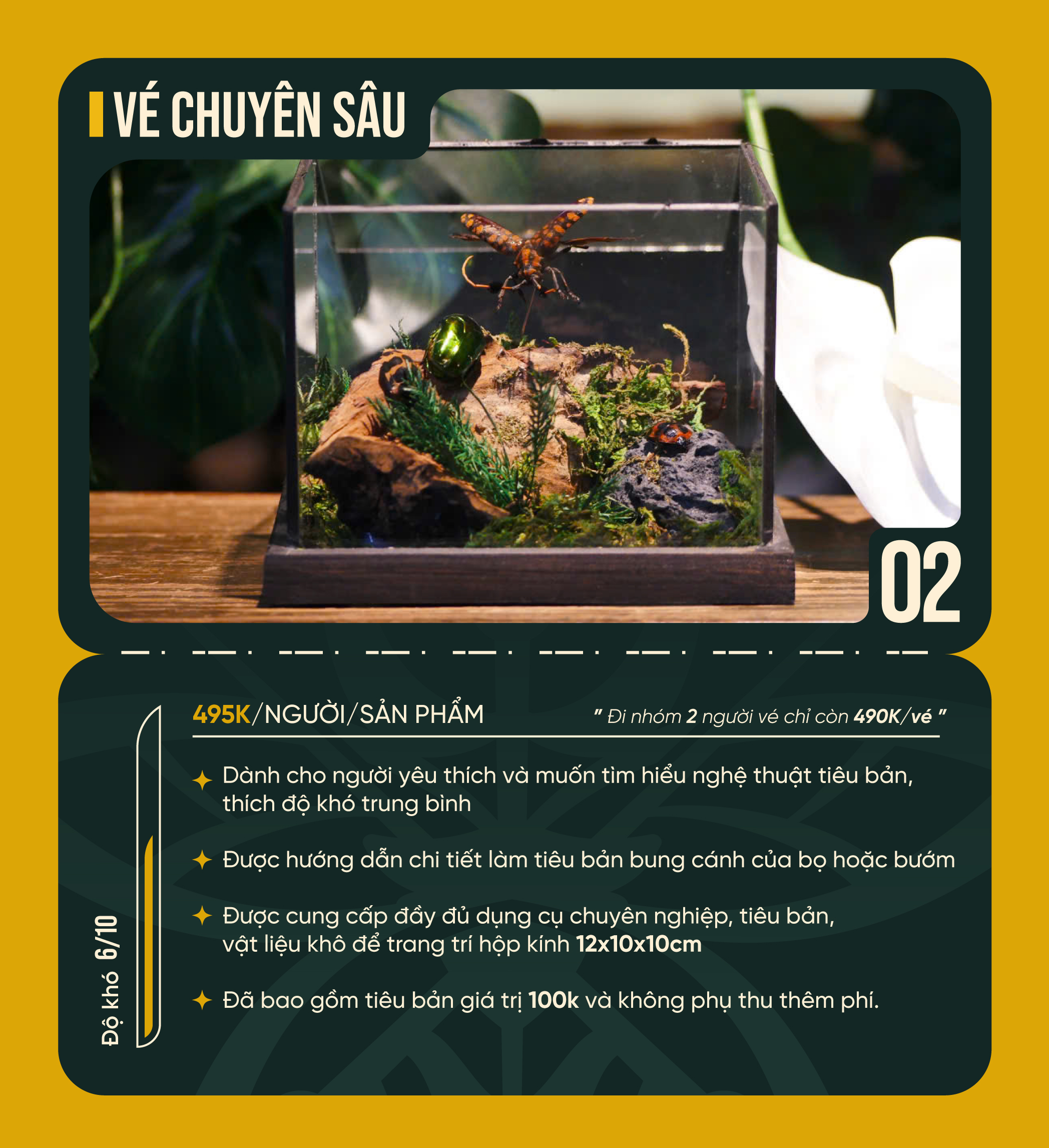 Workshop price 2
